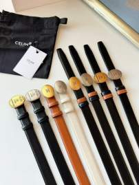 Picture of Celine Handbags _SKUfw238759736fw